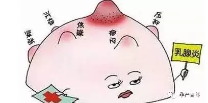哺乳期乳腺炎，慎用抗生素！