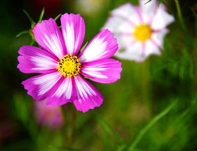 你是雇主喜歡這樣的阿姨嗎？