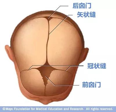寶寶的囟門很重要，出現(xiàn)這3種異常要當(dāng)心！