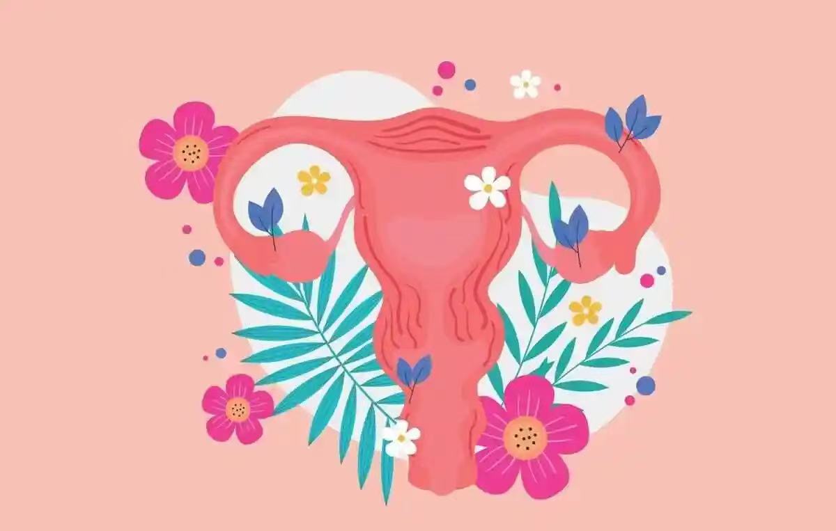 孕媽小知識|怎樣保護子宮健康？