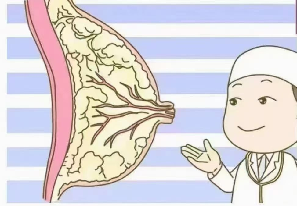 6步疏通奶結(jié)，告別乳房脹痛，月嫂必學(xué)！