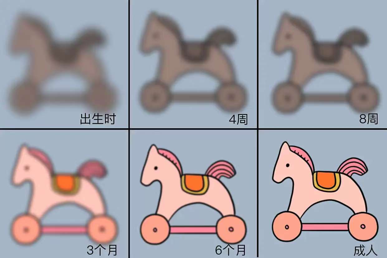 嬰兒視力發(fā)育過(guò)程圖